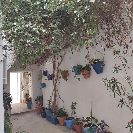 Estudio Recien Reformado En Patio Andaluz Διαμέρισμα Conil De La Frontera