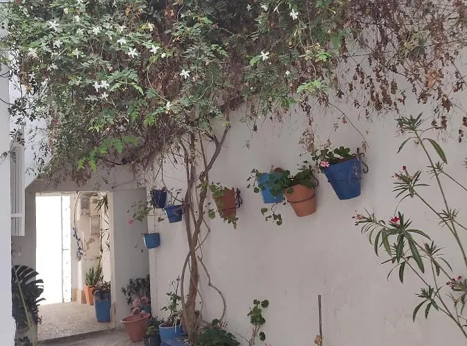 Estudio Recién Reformado En Patio Andaluz Apartamento Conil De La Frontera